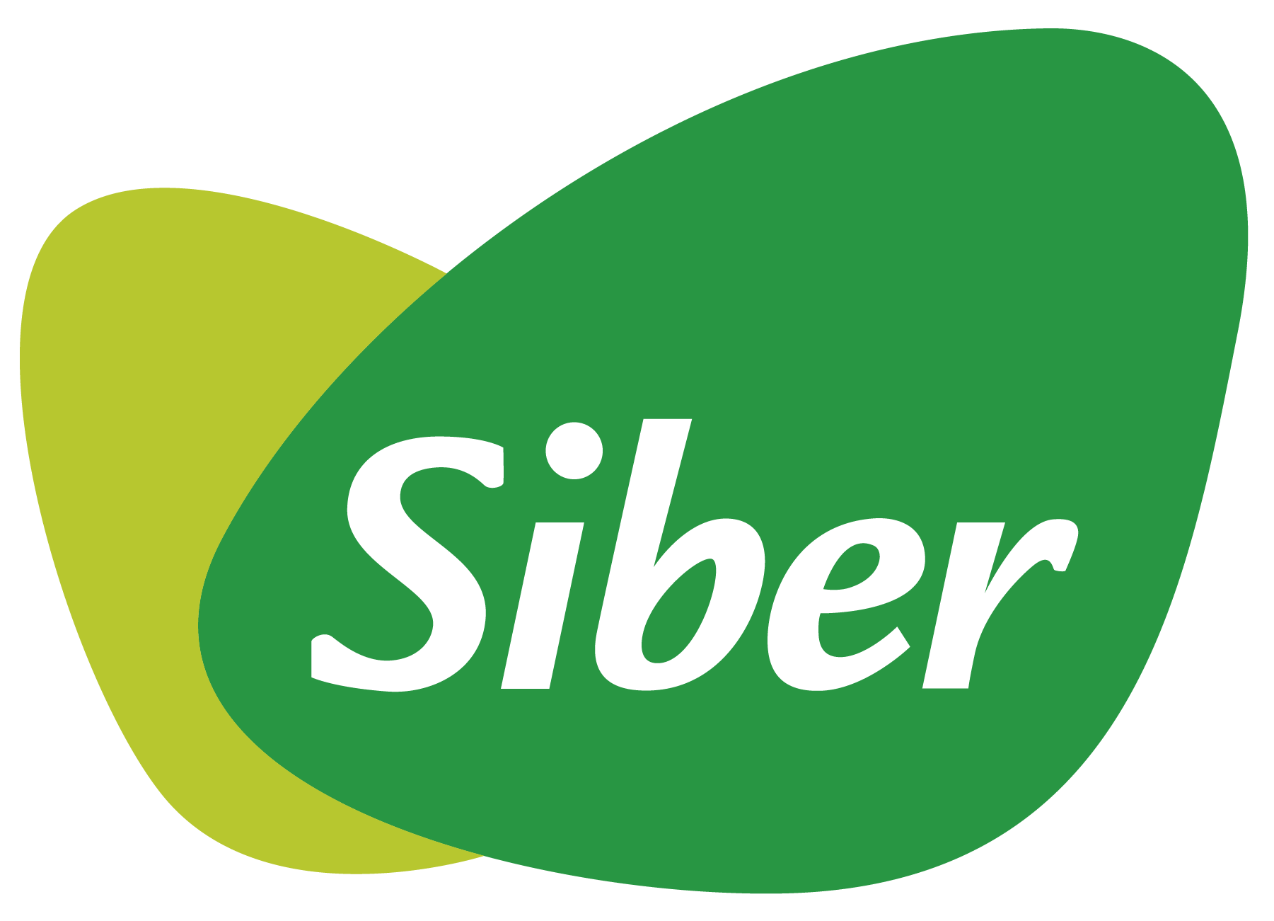 Logo SIBER-02